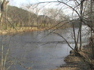 dvc00402.jpg